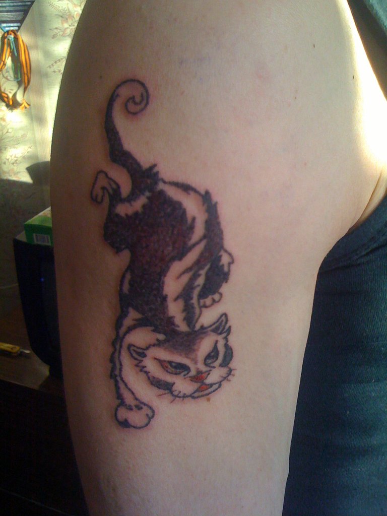 Фото, значение в магии татуировки " Кот. Кошка. Котенок. " - Страница 2 Z_ce2de670